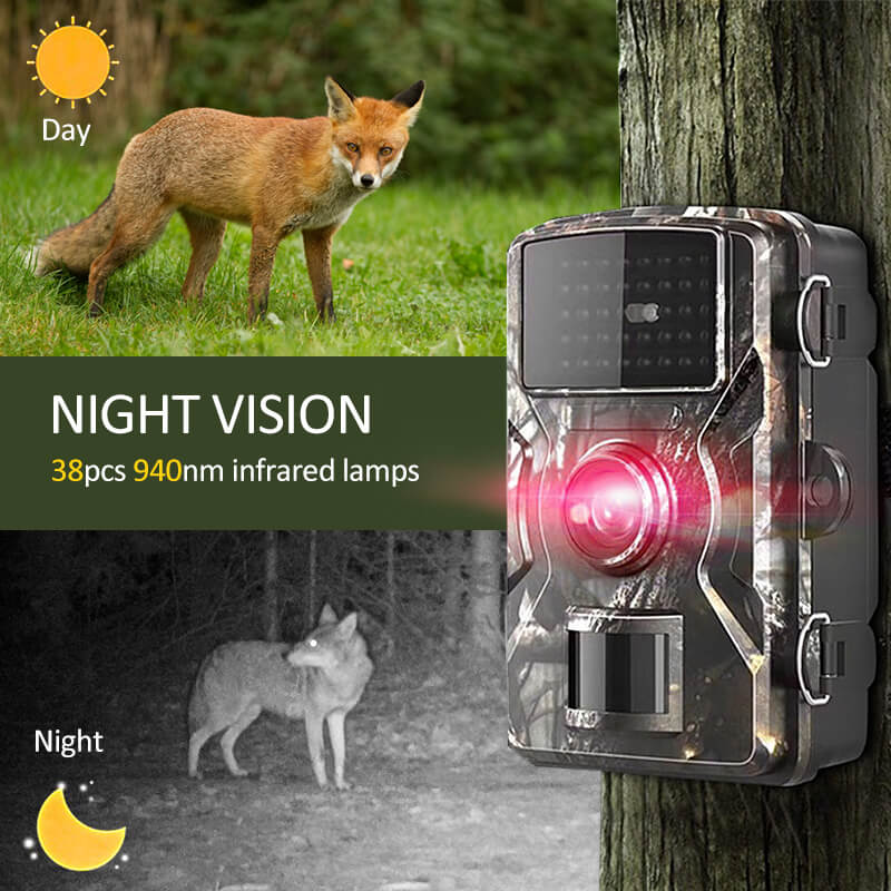 2x Nachtsicht Outdoor Wildtierkamera