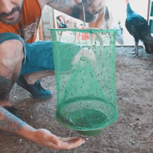 Eco-Friendly Stable Fly Trap | Non-Toxic, Odor-Free & Reusable for Outdoor Use