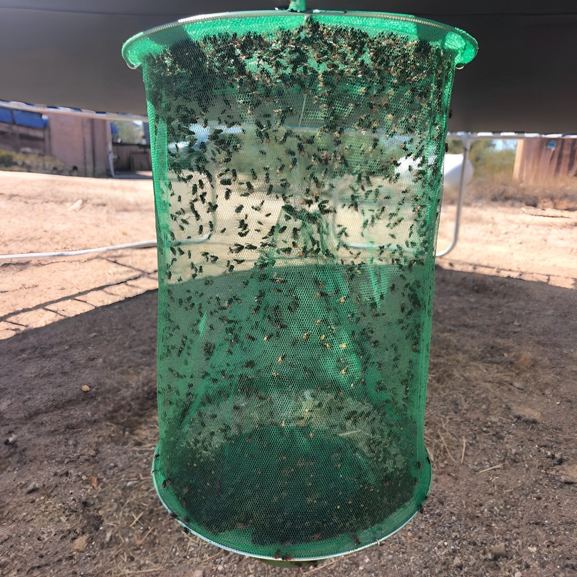 Eco-Friendly Stable Fly Trap | Non-Toxic, Odor-Free & Reusable for Outdoor Use