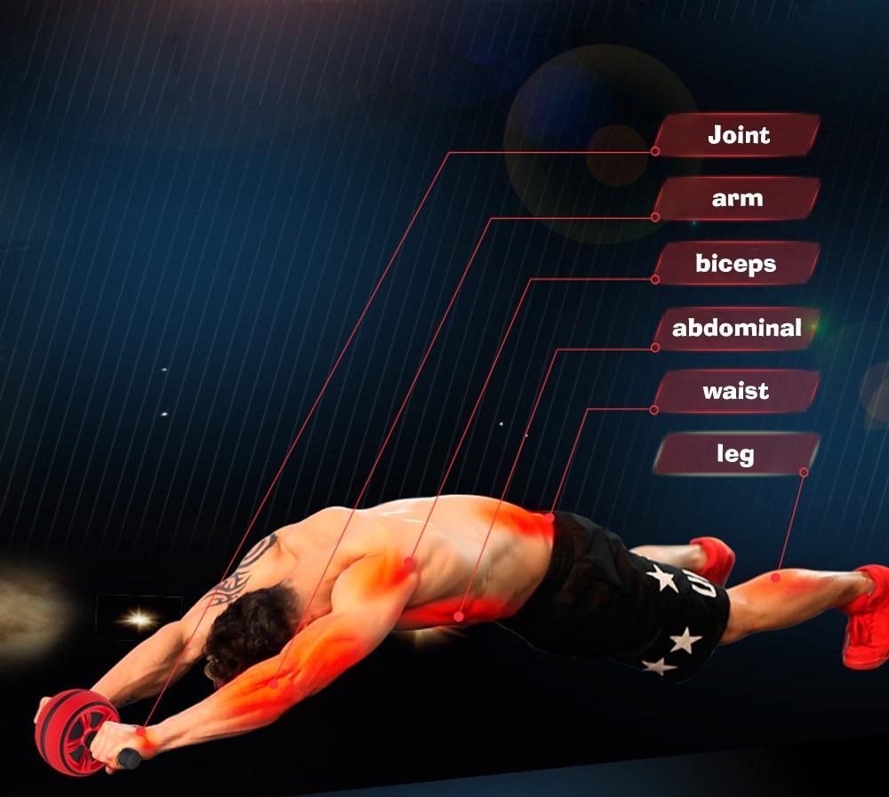 Bauchroller Trainingsrad – Ab Wheel für effektives Core-Workout