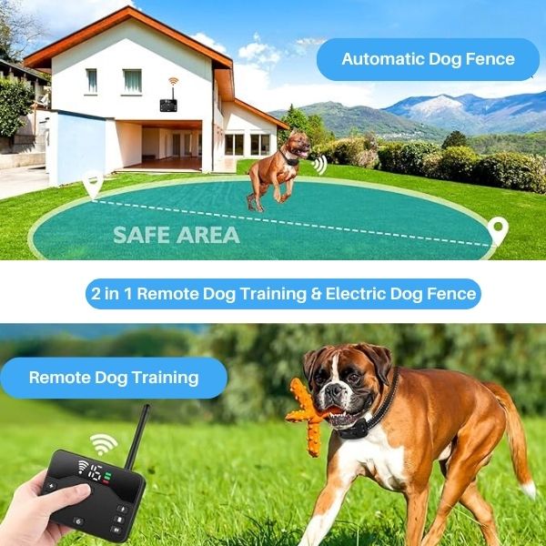 2-in-1 Wireless Pet Training Halsbänder und Hundezäune Sound Check Elektrische und Vibrationsstoßhalsband Zaun von 65 bis 1640 Fuß