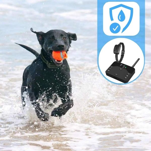 2-in-1 Wireless Pet Training Halsbänder und Hundezäune Sound Check Elektrische und Vibrationsstoßhalsband Zaun von 65 bis 1640 Fuß
