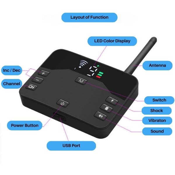 2-in-1 Wireless Pet Training Halsbänder und Hundezäune Sound Check Elektrische und Vibrationsstoßhalsband Zaun von 65 bis 1640 Fuß