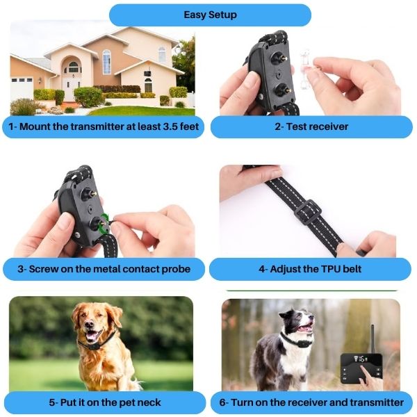 2-in-1 Wireless Pet Training Halsbänder und Hundezäune Sound Check Elektrische und Vibrationsstoßhalsband Zaun von 65 bis 1640 Fuß