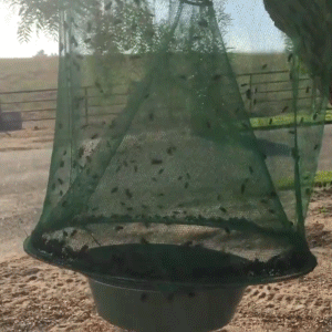 Eco-Friendly Stable Fly Trap | Non-Toxic, Odor-Free & Reusable for Outdoor Use