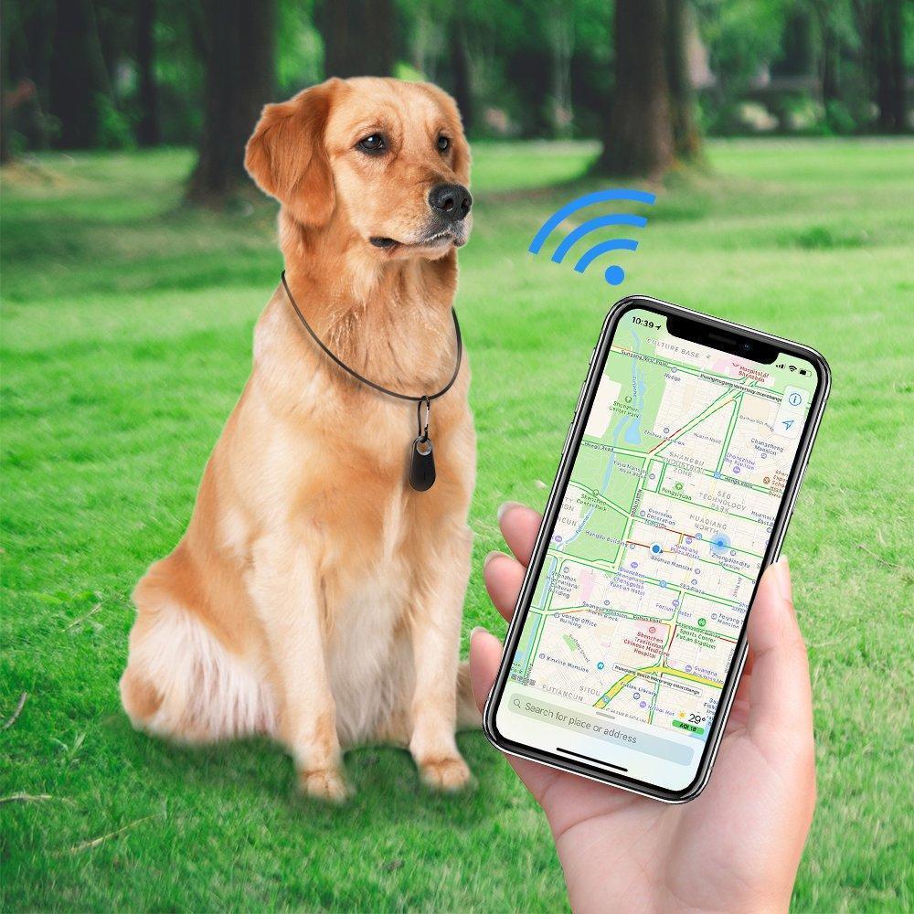 Tiere GPS Tracker & Aktivitätsmonitor für Hunde und Katzen
