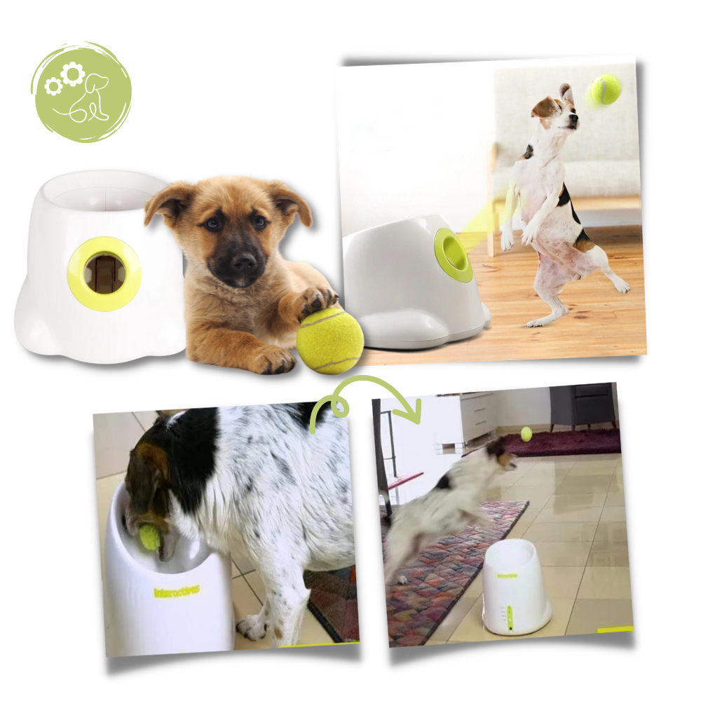 Dog Interactive ball launcher | Automatic Ball thrower - Pet Agility equipment | Fun pet trainning toy and Perfect Gifts for pets
