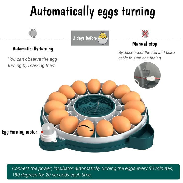 15 Eggs Incubator with Automatic Humidity Control