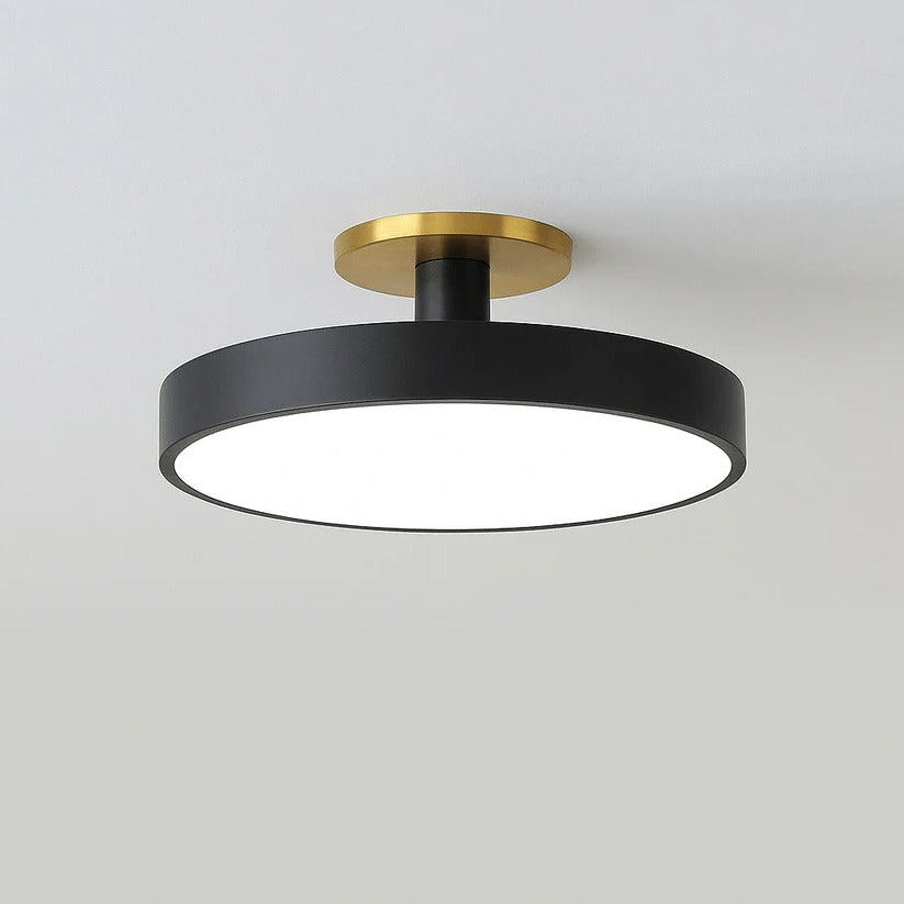 LED Ceiling Light
