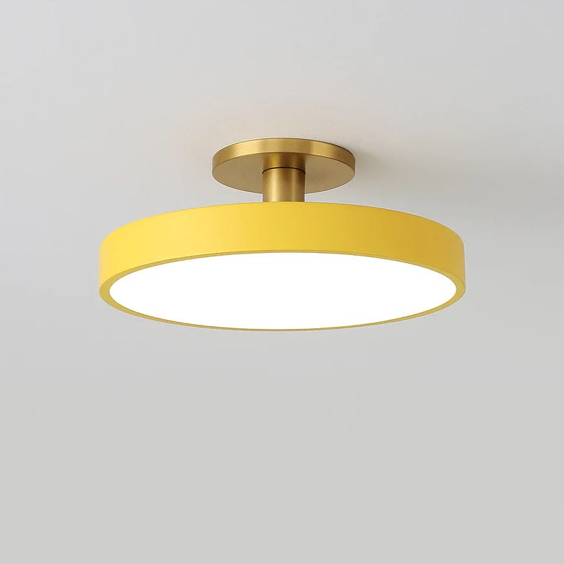 LED Ceiling Light