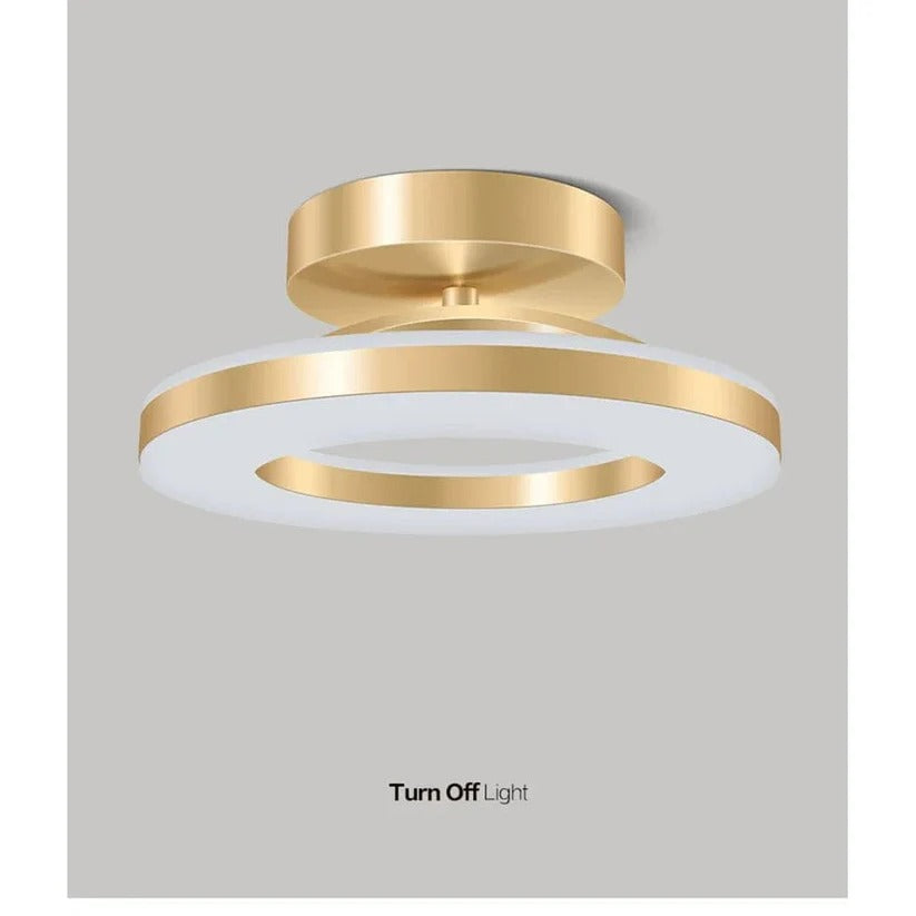 LED Ceiling Light Fixture