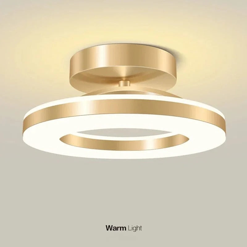 LED Ceiling Light Fixture