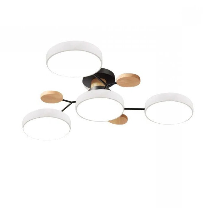 Ceiling Light - Branching Design, Stylish & Sustainable with LED Technology