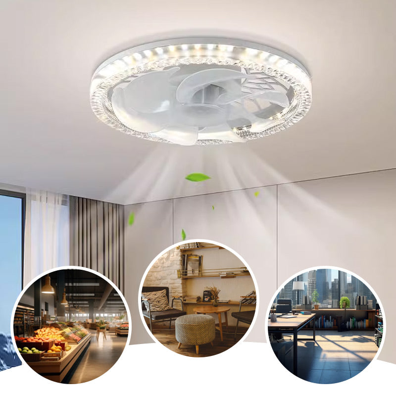 2-in-1 leiser verstellbarer Ventilator mit Licht und Fernbedienung